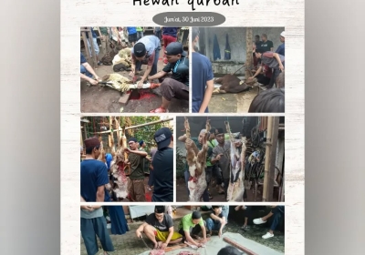 Kegiatan Qurban (Hasil Tabungan Qurban)